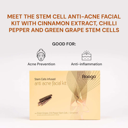 Raaga Professional Anti Acne Facial Kit 6 Steps