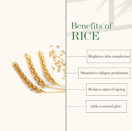 Good Vibes Rice Brightening Toner 120 ml, Hydrating Light Weight Moisturizing Glowing Face Spray Toner for All Skin Types, Natural, No Alcohol, Parabens & Sulphates, No Animal Testing