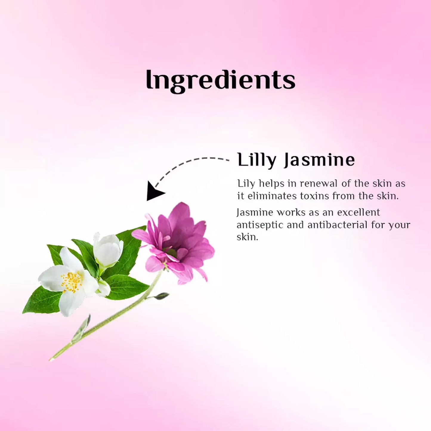 Richfeel Naturals Lily & Jasmine Bleach Kit (3x320g=960g)
