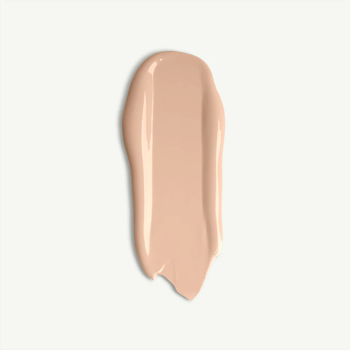 Insight Professional Ultimate Cover Concealer