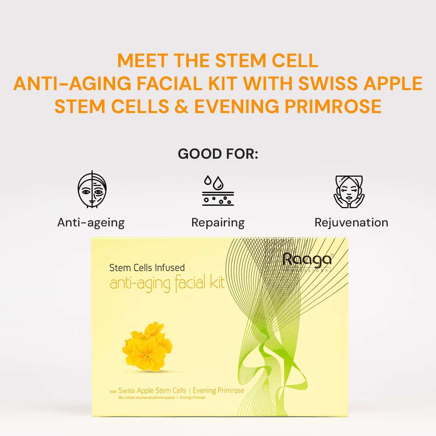Raaga Professional Anti Aging Facial Kit 6 Steps