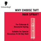 Schwarzkopf TAFT Shine Hair Spray For Shinner Hair With Diamond Luminizer Formula Hold 4, Lasts 24Hr+ Protects From Wind And Humidity, No Stickiness, Easy To Brush Out, For Salon Like Finish - 250Ml
