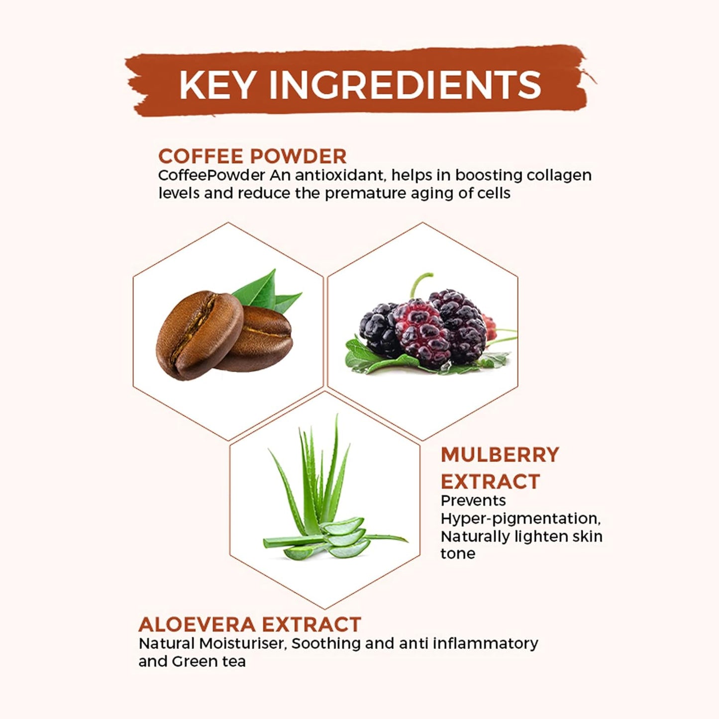 Oshea Herbals Cafeine Pro Coffee Face Mask for All Skin Types | Removes Impurities & Dead Cells | Enriched with Coffee Seed Oil & Mulberry Extracts | 120 g