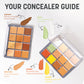 Academic Concealer Palette