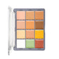 Academic Concealer Palette