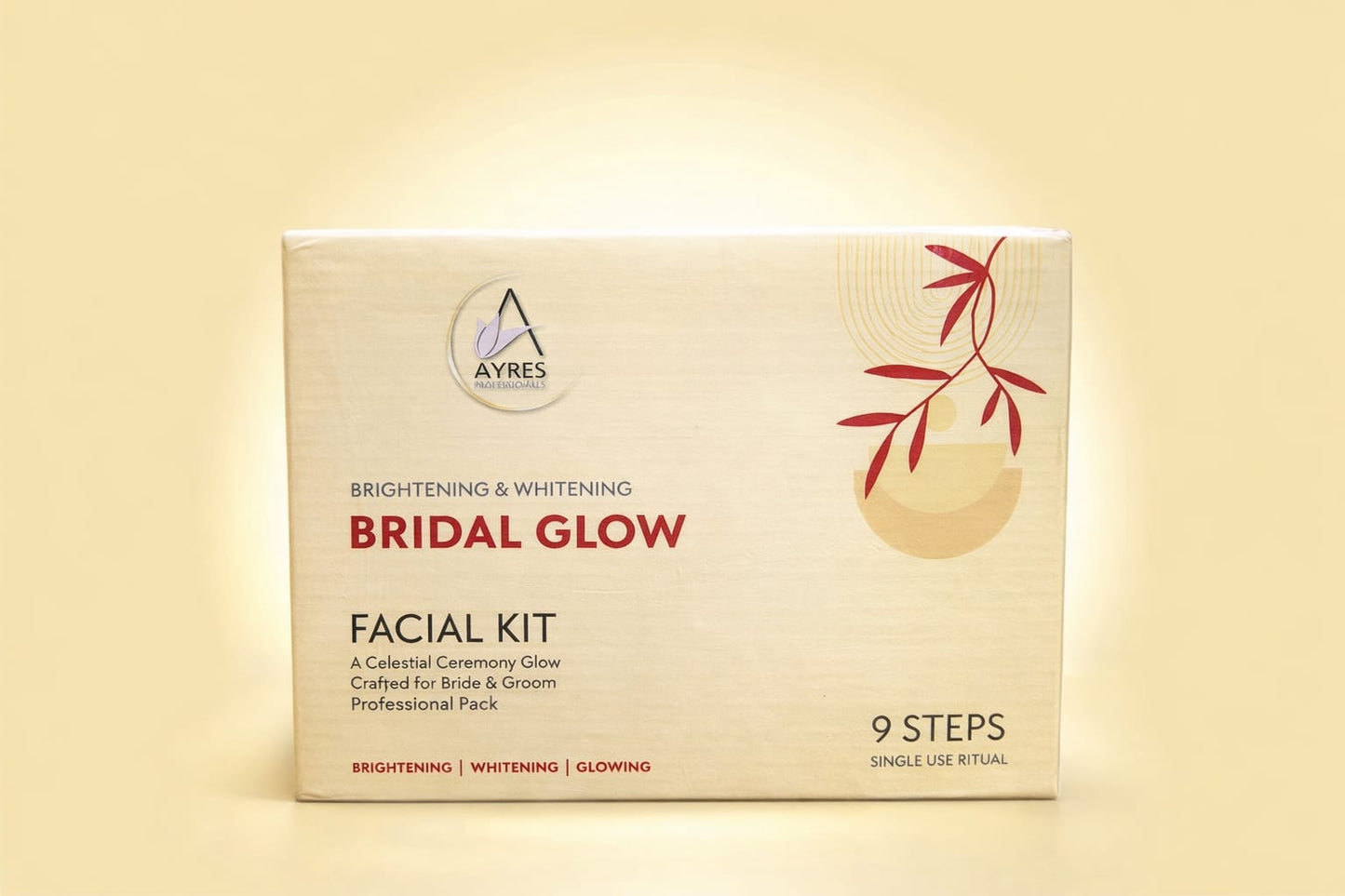 Ayres Professionals Brightening & Whitening Bridal Glow Facial Kit | 680g