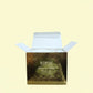 Richfeel Naturals Luxury Gold Bleach Kit Pack of 3