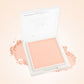 Insight Professional Compact Plus Foundation | 15gm