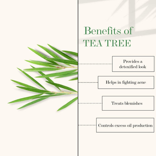 Good Vibes Tea Tree Gentle Cleansing Face Wash, 120 ml | Soothing, Moisturizing, Anti Acne Face Cleanser For All Skin Types | Controls Sebum Production | No Parabens, No Mineral Oil